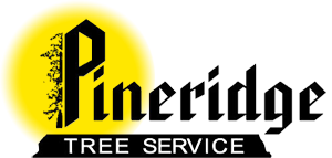 Partner Logo 20